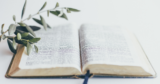 Speak the Truth in Love