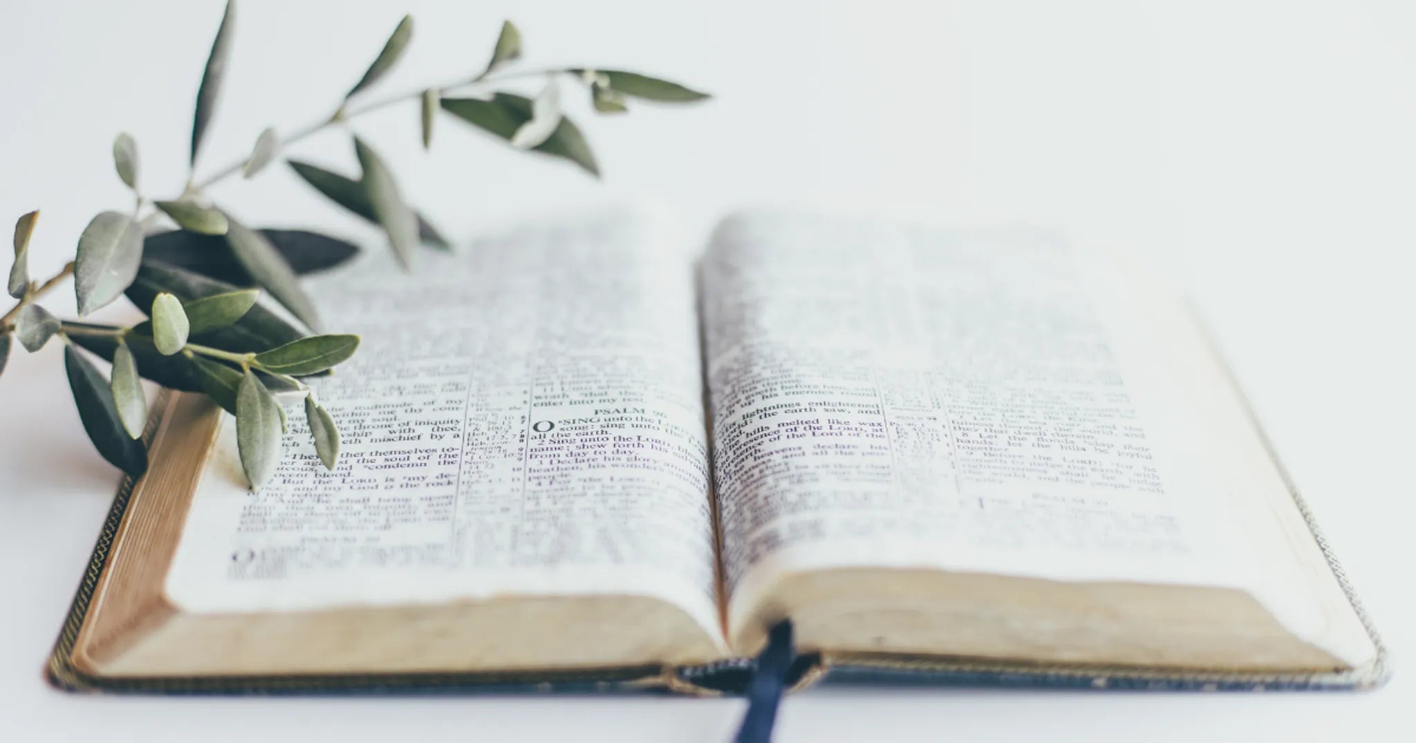 Speak the Truth in Love