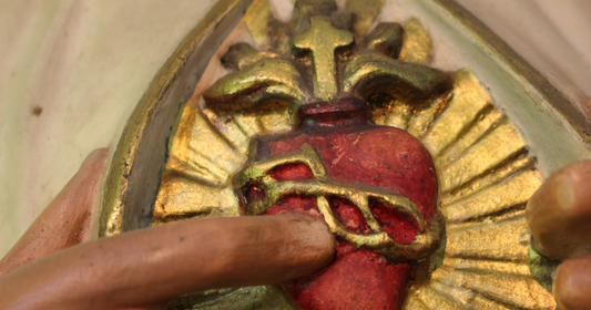 Holy Habits of the Sacred Heart (with Emily Jaminet)
