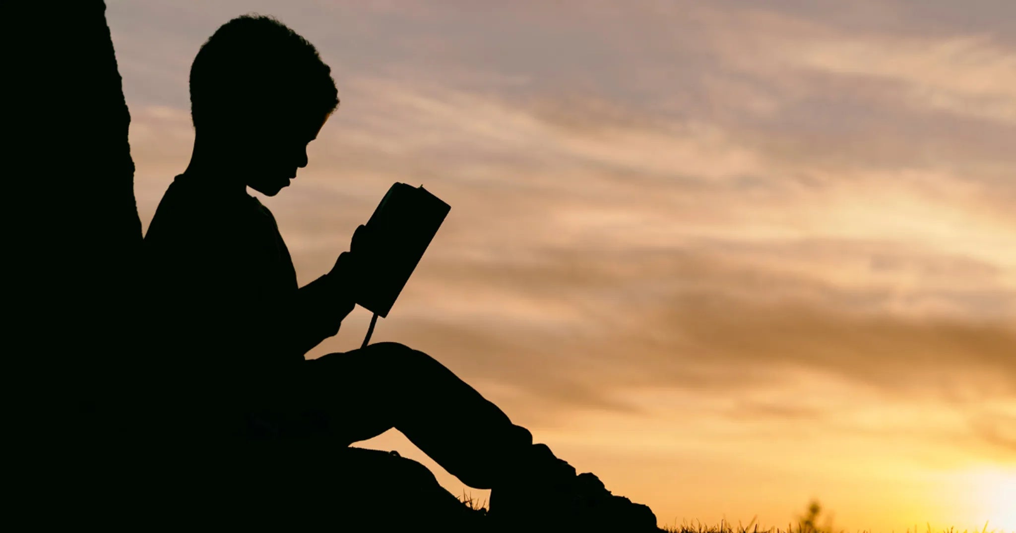 Kid's Bible in a Year with Teddy