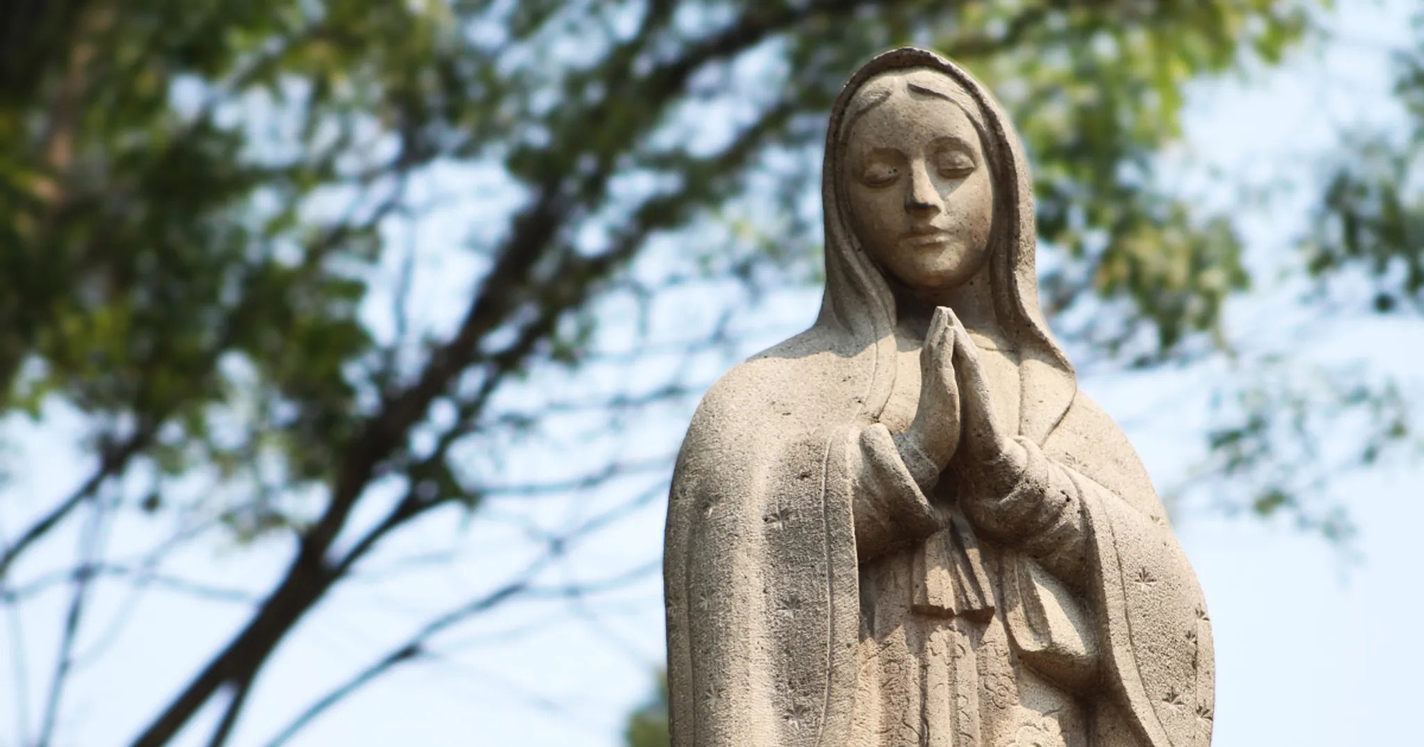How Scripture Shaped the Heart of Mary