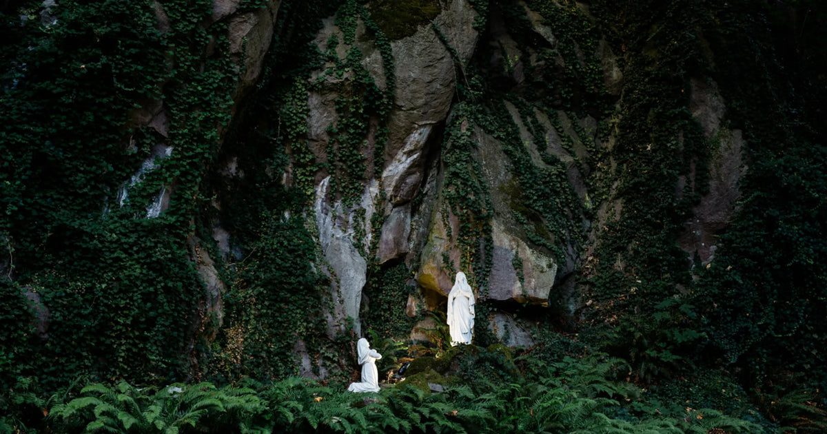 Why Mike and Dave Really Want to Go to Lourdes