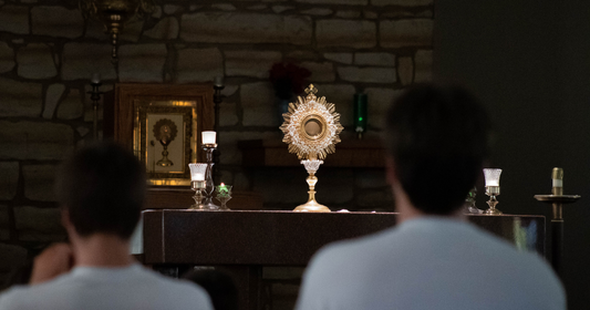 What Do You Do in Adoration?