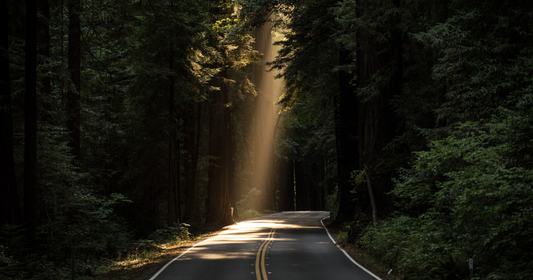 All About Spiritual Direction (with Deanna Bartalini)