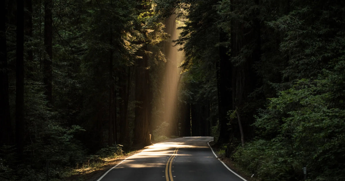 All About Spiritual Direction (with Deanna Bartalini)