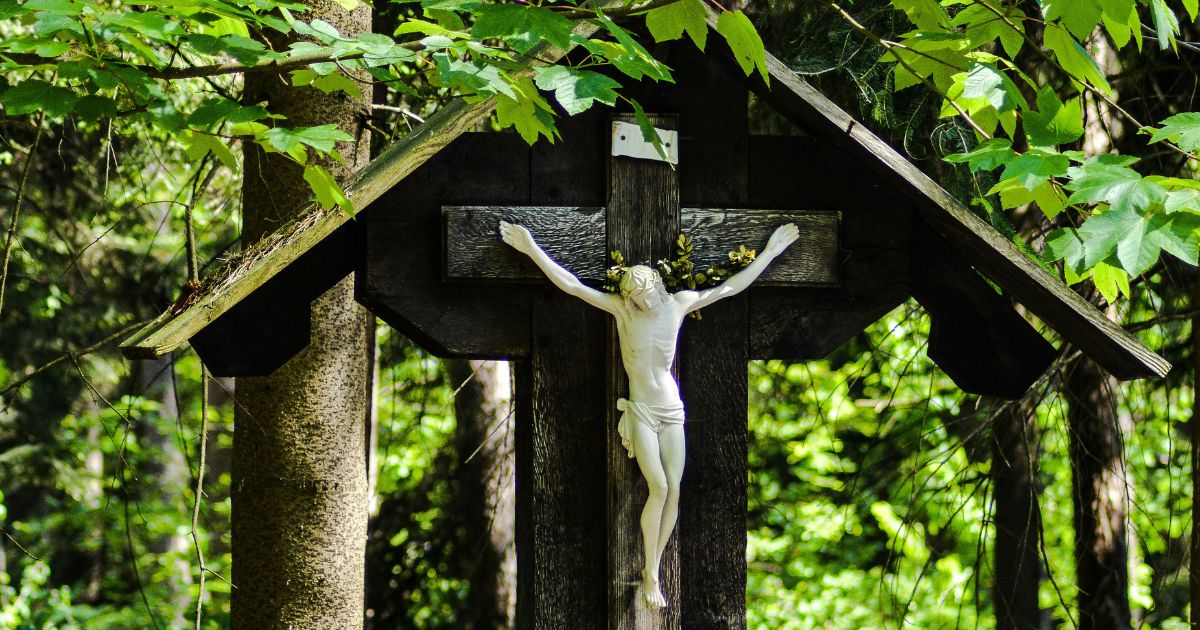 Do You Have a Plan for Living? (Part 1)