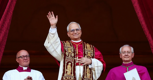 Habemus Papam: Pope Leo XIV