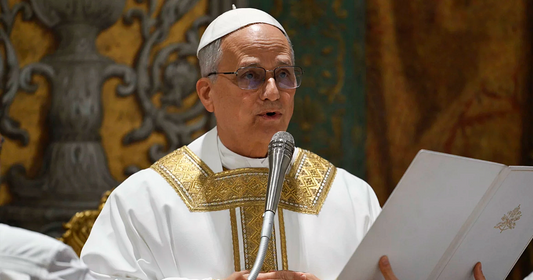 16 Fun Facts About Pope Leo XIV