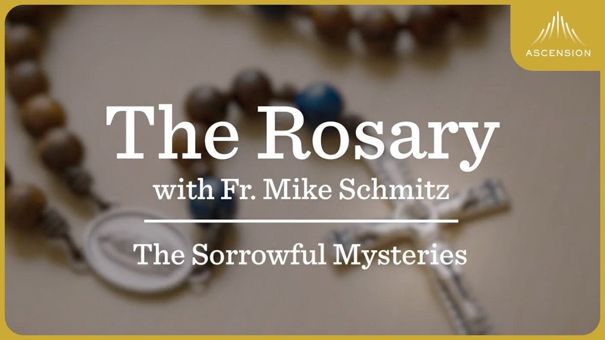 The Sorrowful Mysteries of the Rosary with Fr. Mike Schmitz (Sacred Art Version)