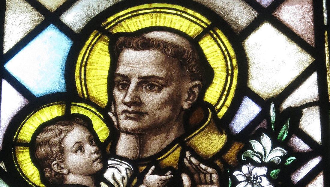 St. Anthony of Padua, the Evangelical Doctor, Was a Simple Man