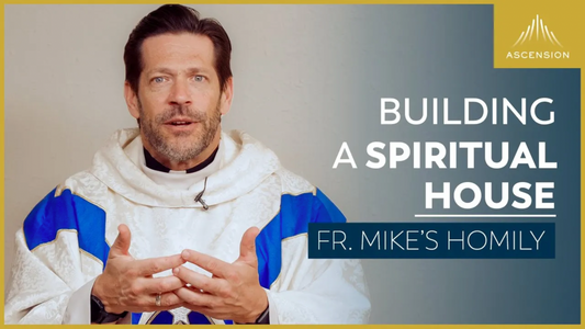 Spiritual Houses | Fifth Sunday of Easter (Fr. Mike's Homily)