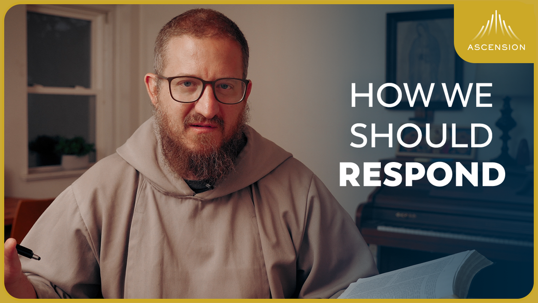 Catholics Online are Leading People Astray (w/ Fr. Mark-Mary Ames)