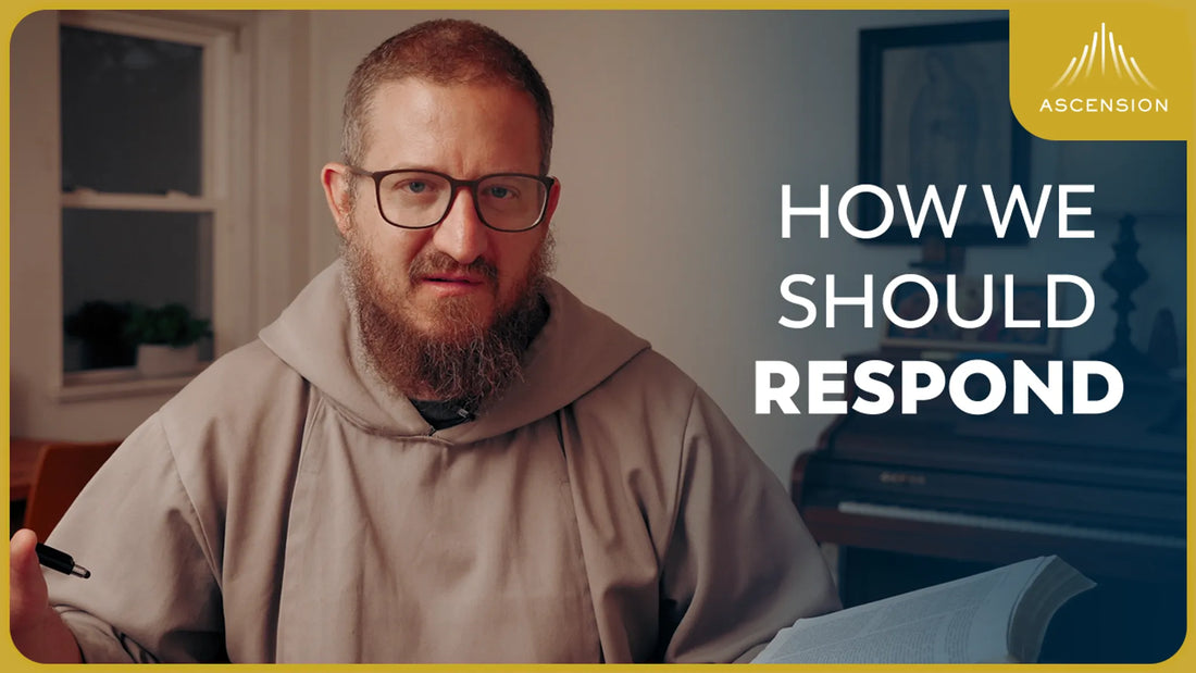 Catholics Online are Leading People Astray (w/ Fr. Mark-Mary Ames)