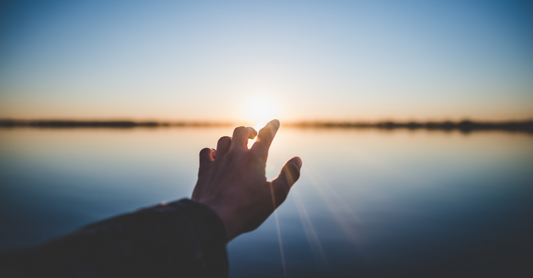 The Living: A Relentless Hope
