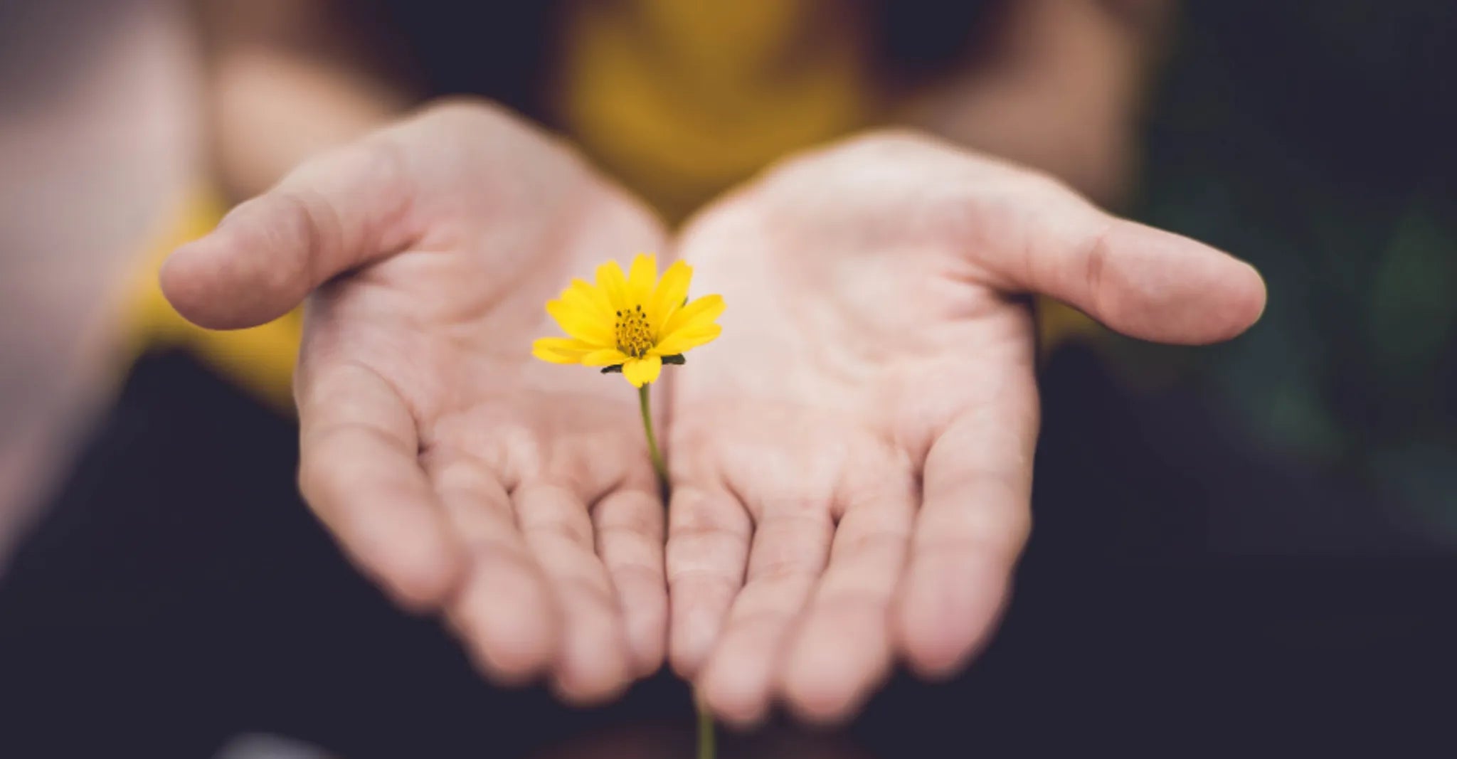 Why Jesus Desires Forgiveness