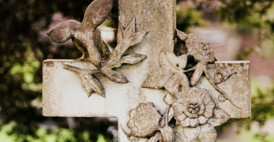 The Fruits of the Holy Spirit in a Time of Covid-19