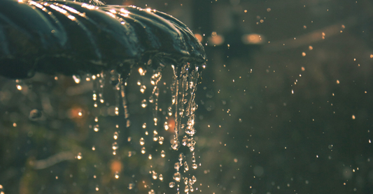 Drinking From An Eternal Fountain