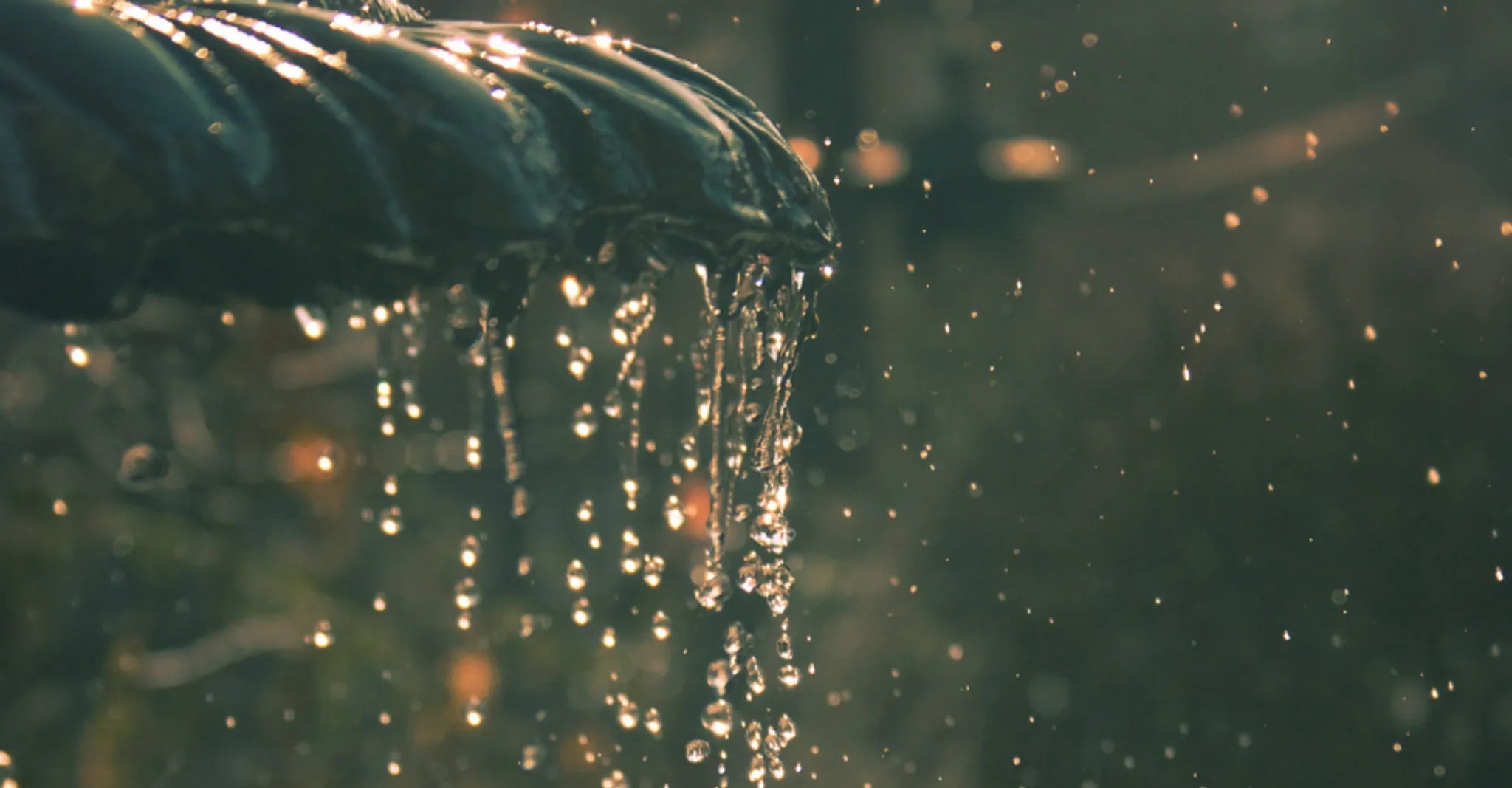 Drinking From An Eternal Fountain