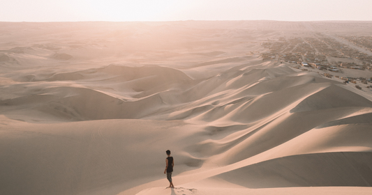 In the Desert (with Fr. Mark-Mary Ames, CFR)