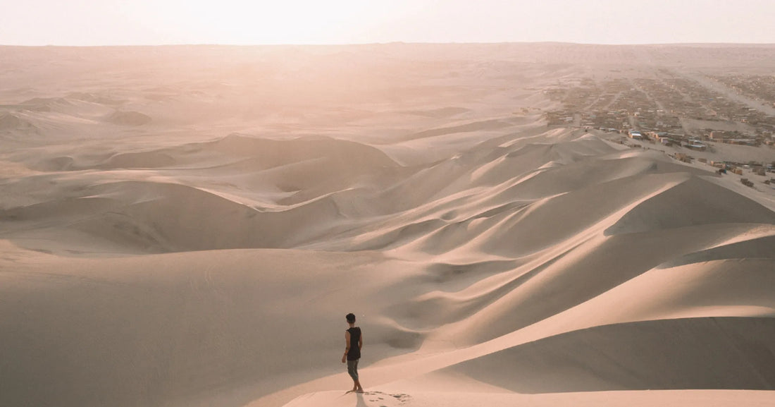 In the Desert (with Fr. Mark-Mary Ames, CFR)