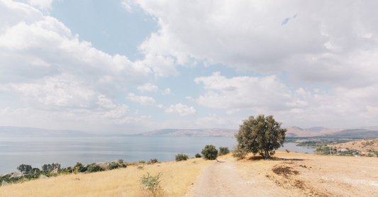 The Beatitudes and Human Flourishing
