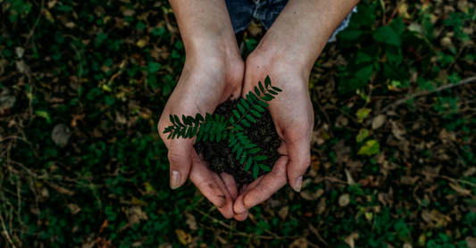 “Down to Earth”: Should This Be Our Goal When Sharing the Faith?