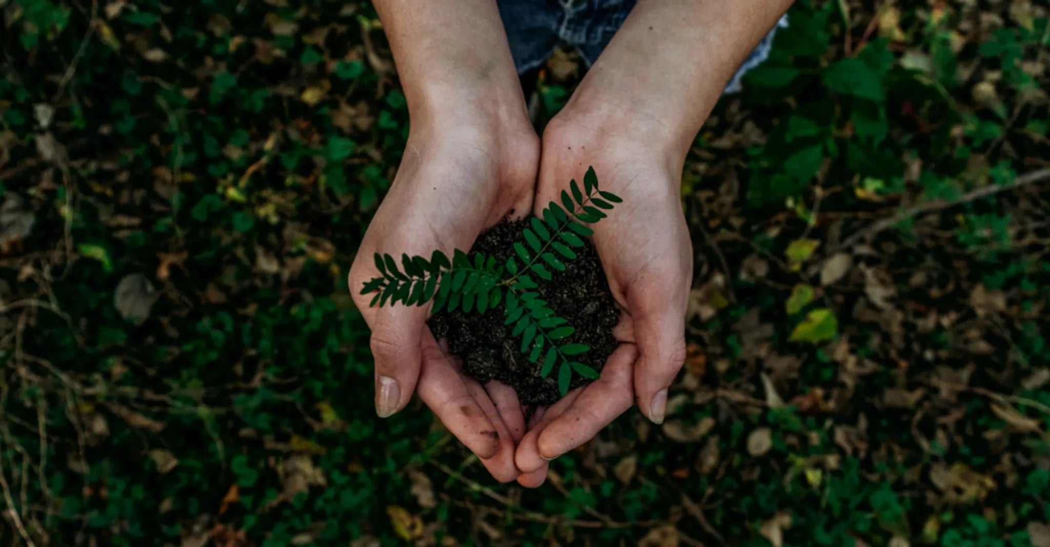 “Down to Earth”: Should This Be Our Goal When Sharing the Faith?