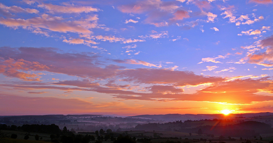 The Kingdom of Heaven is Like…