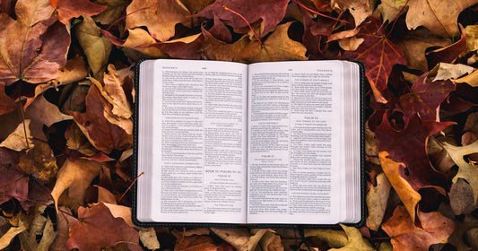 What If Jesus Told Stories About You? (Part Two)