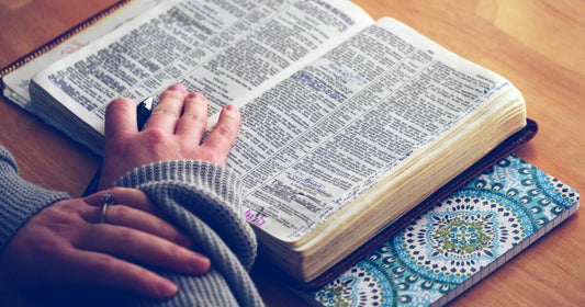 Give High Schoolers the Big Picture of Salvation History in Just Eight Weeks