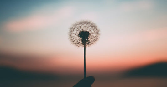 Living With Hope