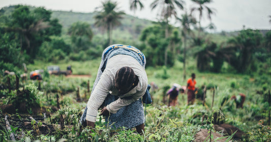 The Mission to Evangelize the World Has Just Begun