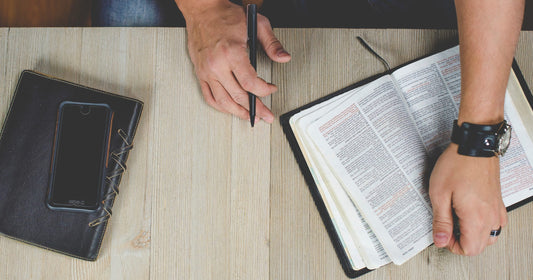 5 Most Popular Catholic Study Bibles Ranked