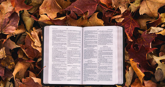 10 Principles of Evangelization
