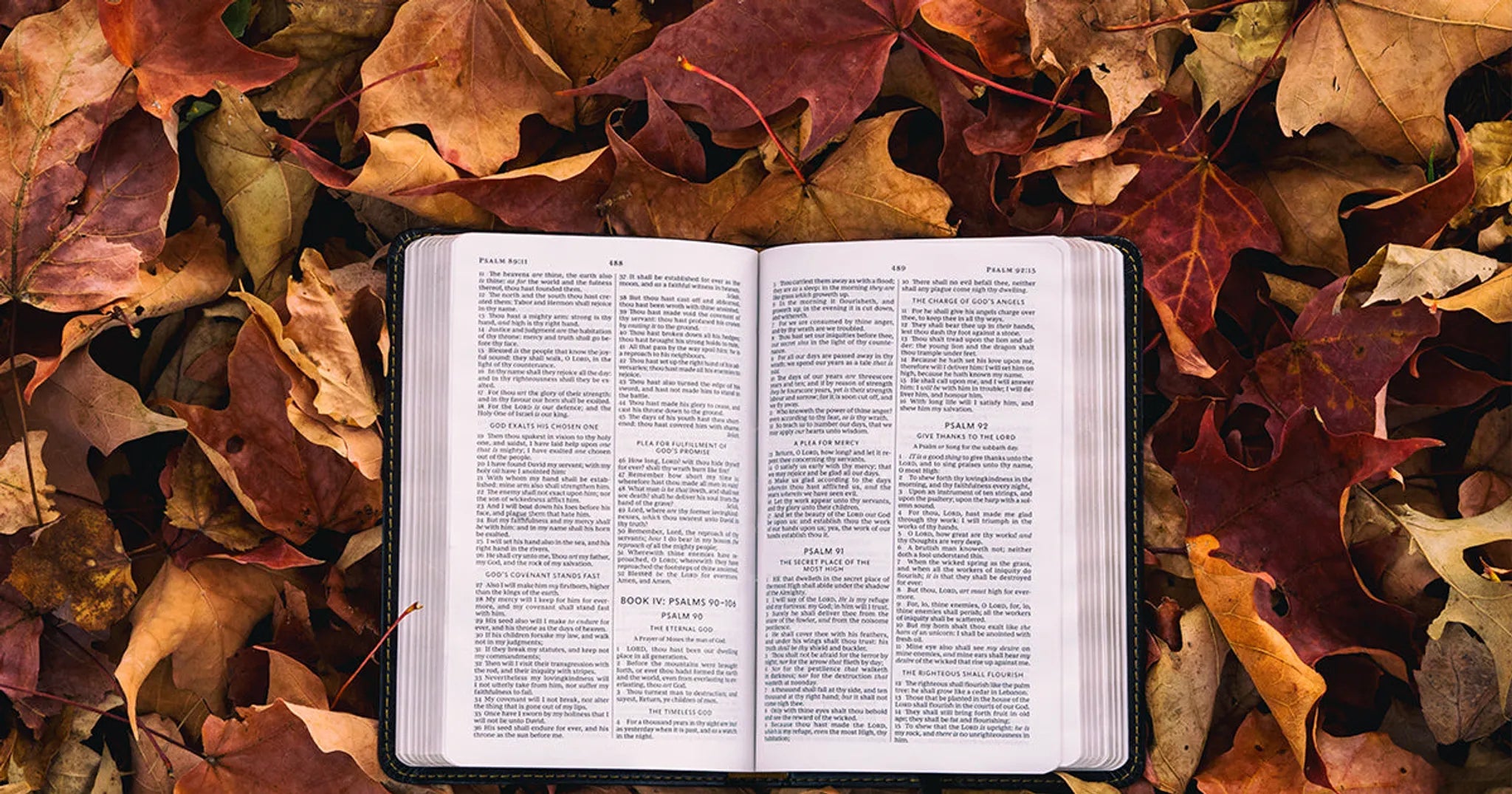 10 Principles of Evangelization
