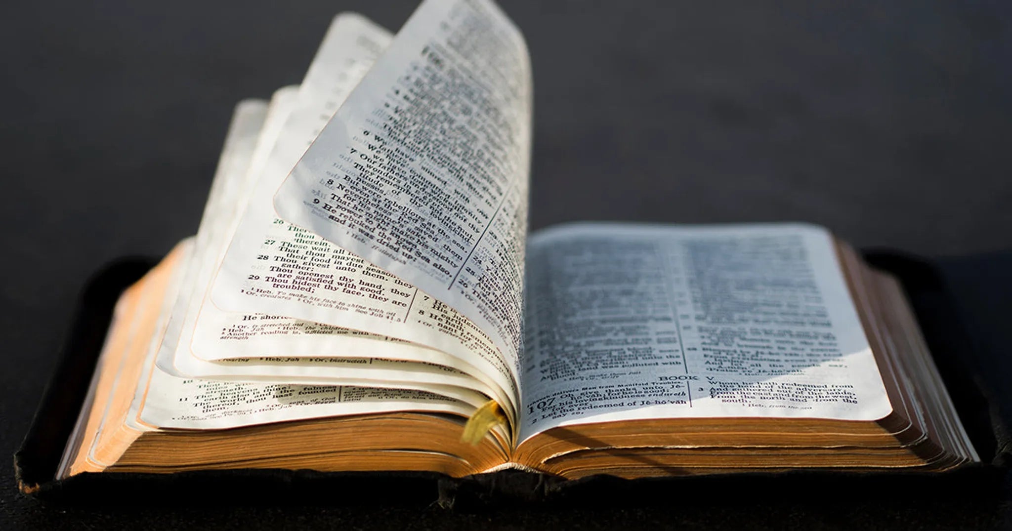 The Biblical Roots of the Hail Mary
