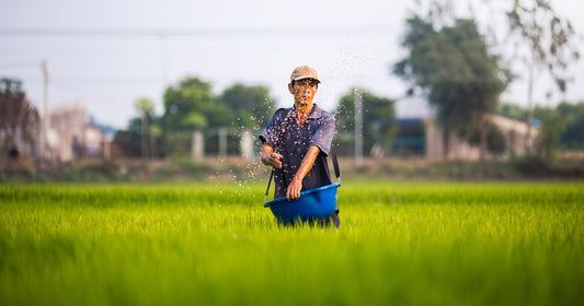 How God Prepares Us to Be Good Soil