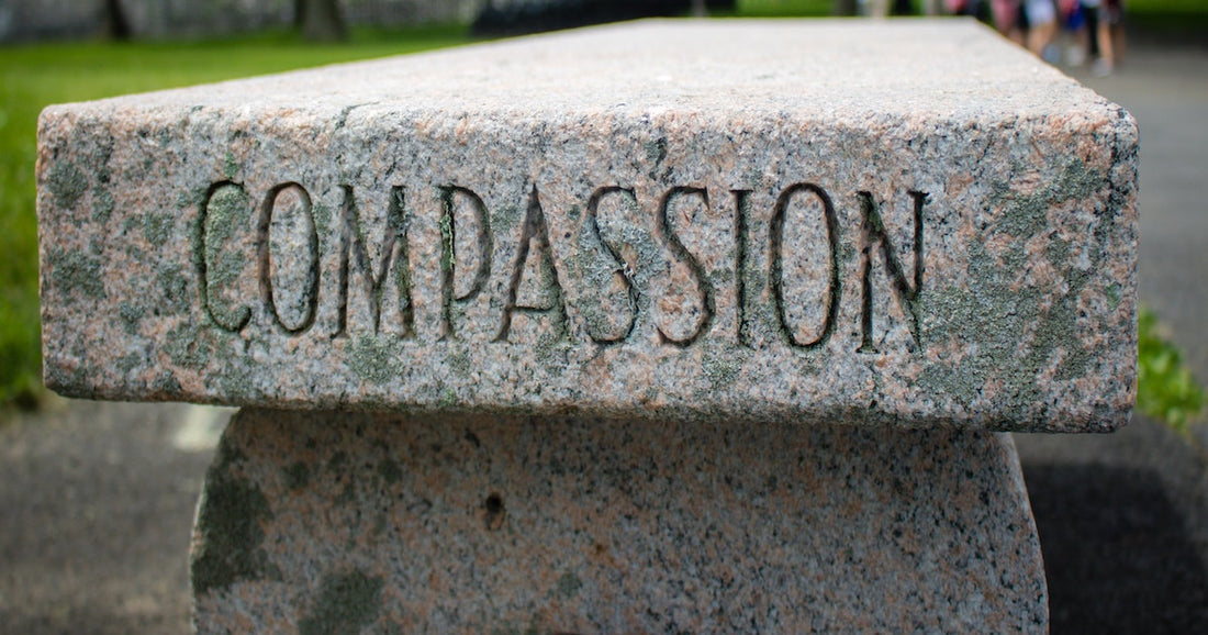 Growing in Compassion, Seeing Christ in Others, and Emotional Chastity