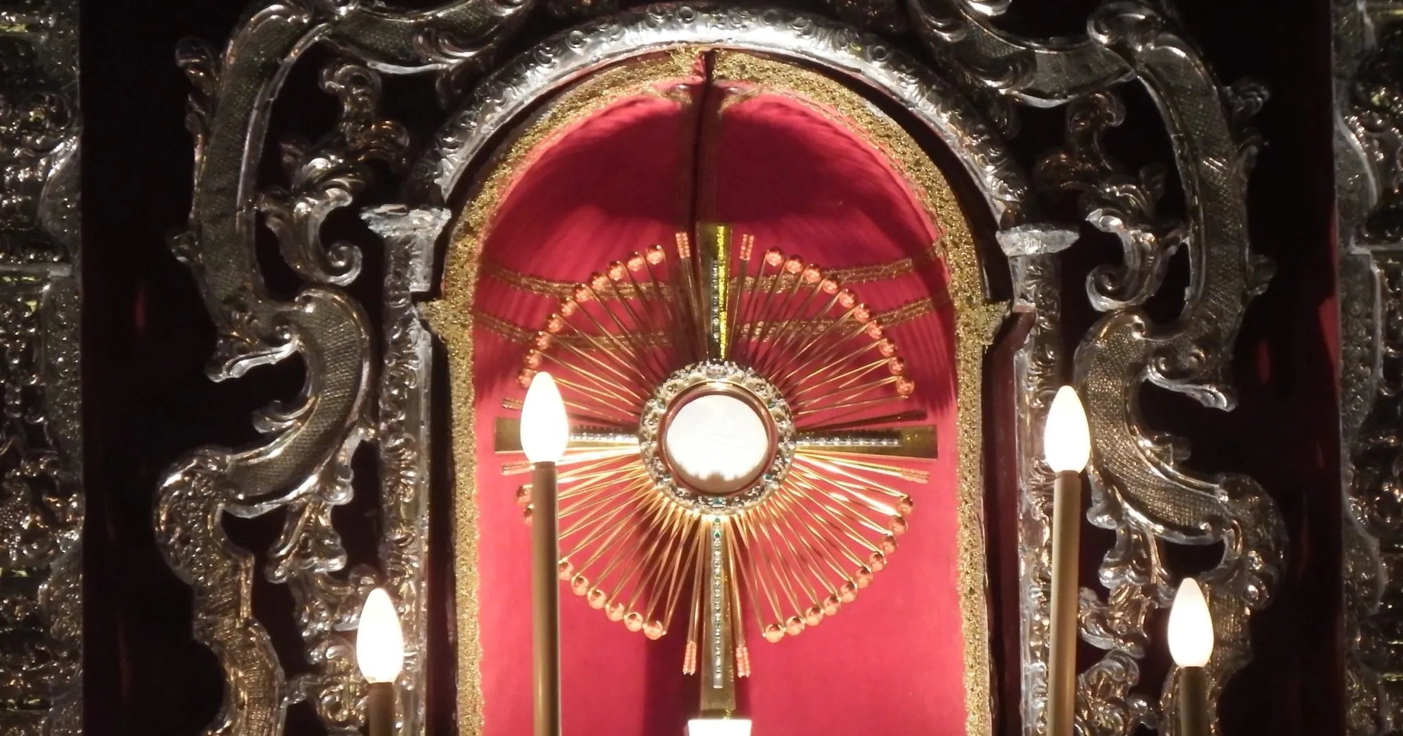 The Amazing Science of Recent Eucharistic Miracles: A Message from Heaven?