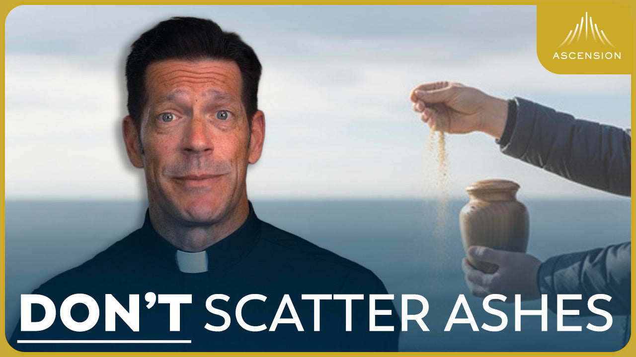 Why We Bury the Dead (w/ Fr. Mike Schmitz)