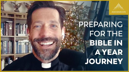 Preparing for the Bible in a Year Journey (with Fr. Mike Schmitz)