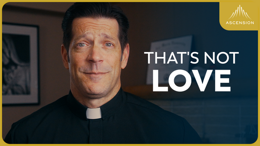 If You're Doing This, It's Not Love (w/ Fr. Mike Schmitz)