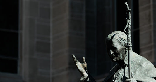 COVID-19 and Suffering (Wisdom from St. John Paul II )