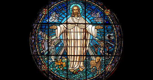 Repentance Is for Sinners—Just Ask Zacchaeus