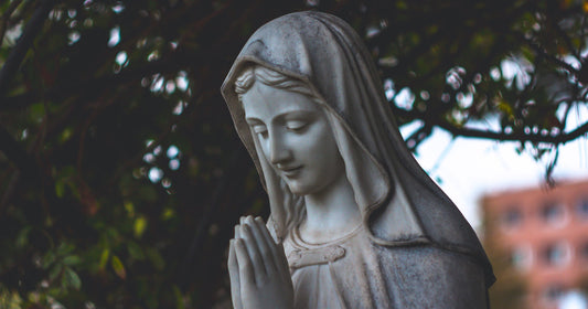 Where to Look in the Bible for Answers about Mary