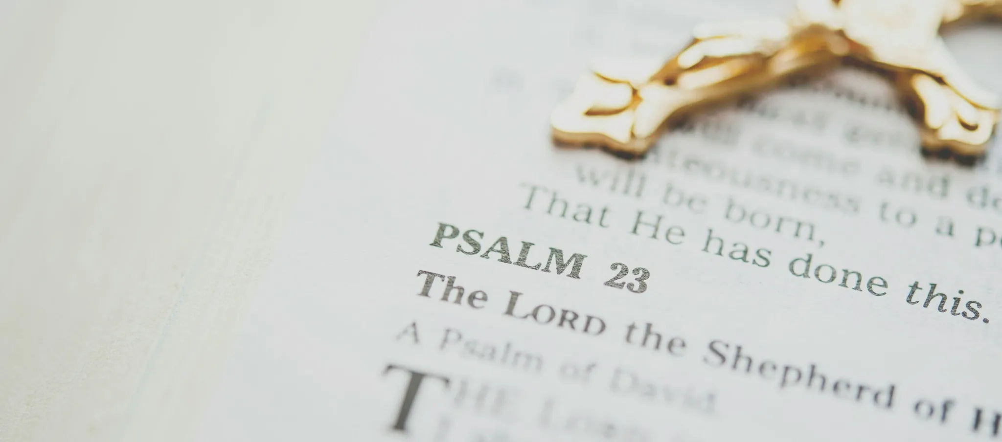 Praying with the Psalms