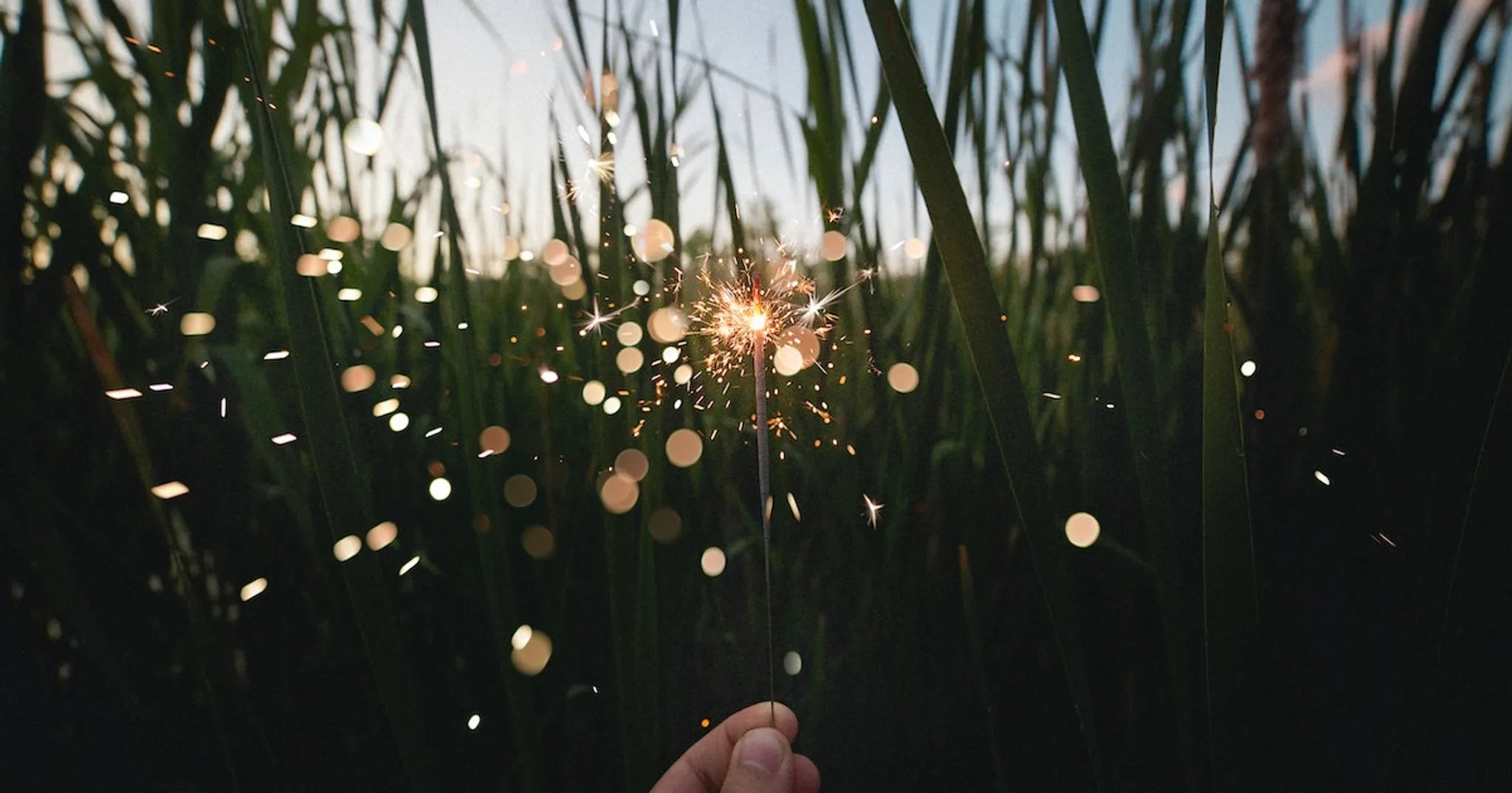 6 Ways to Brighten Your Day