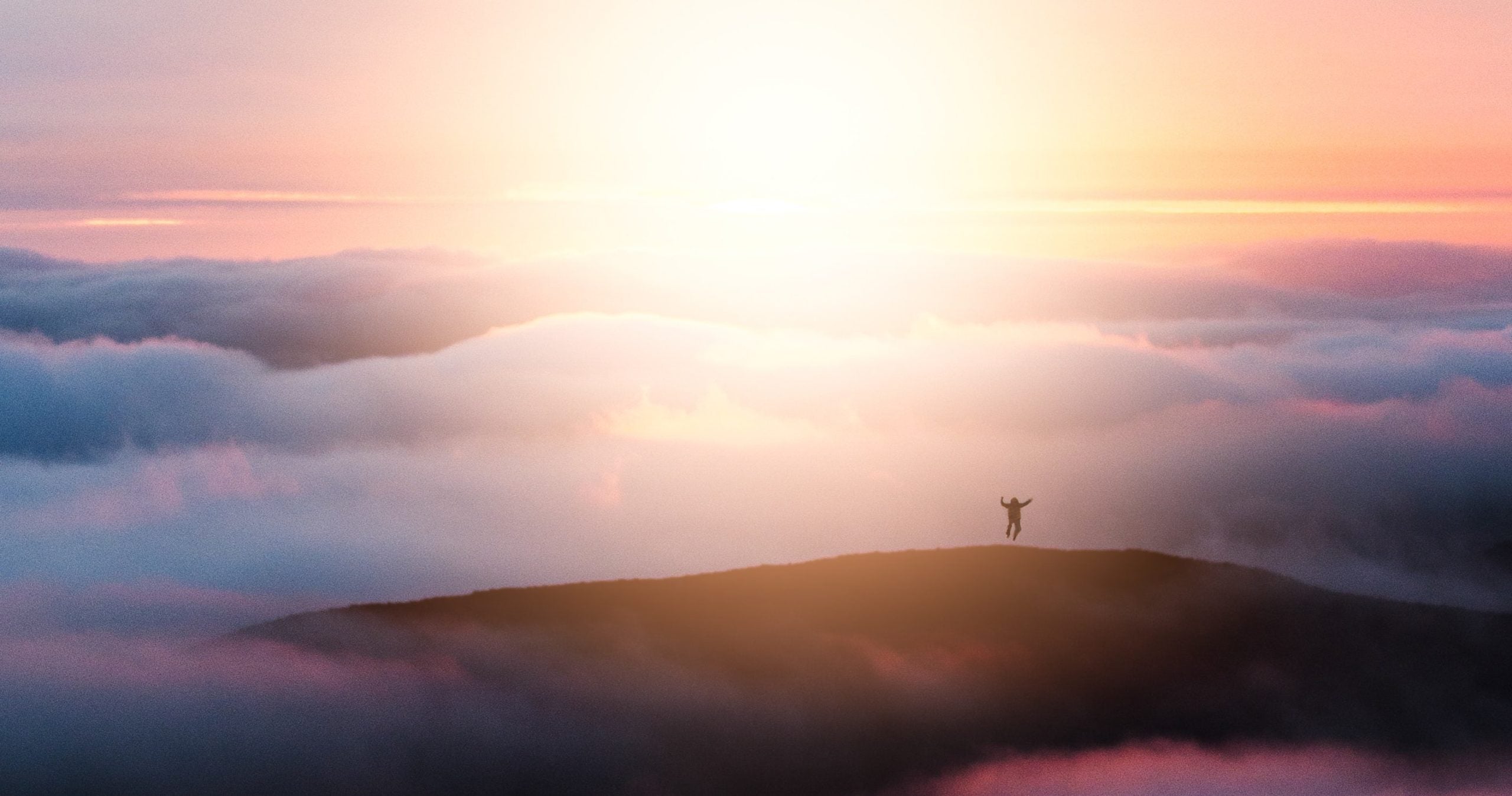 Laudato Si, Creation, & Humanism