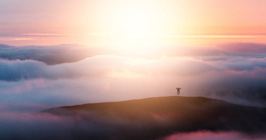 Laudato Si, Creation, & Humanism