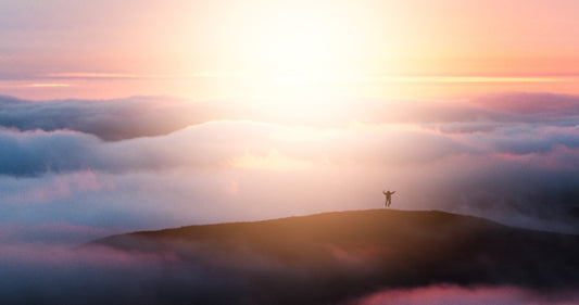 Laudato Si, Creation &amp; Humanism